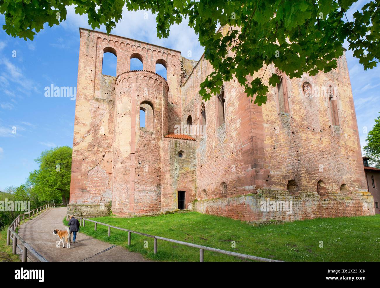 The Limburg monastery ruins in Bad Dürkheim, Rhineland-Palatinate, Germany Stock Photo