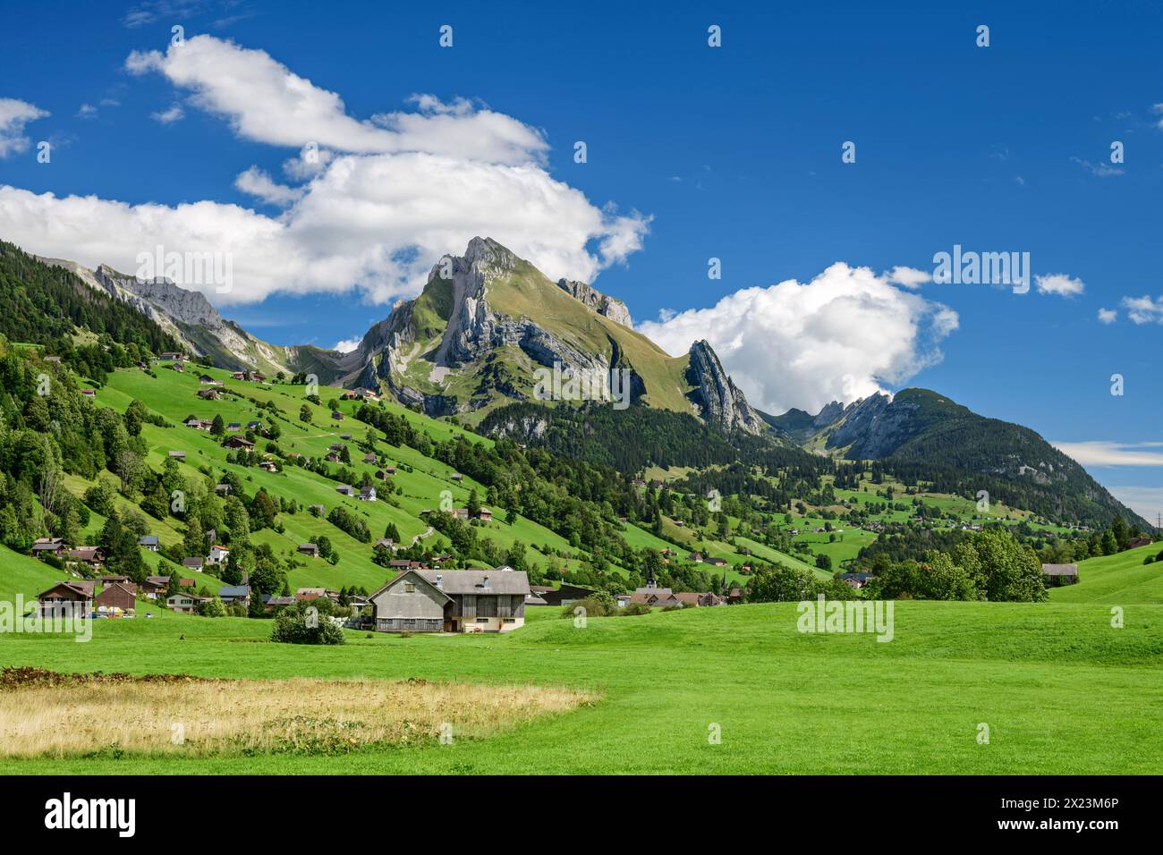 Valley floor of the Thur with Wildhuser Schafberg in the background, Alt St. Johann, Alpstein, Appenzell Alps, Toggenburg, St. Gallen, Switzerland Stock Photo