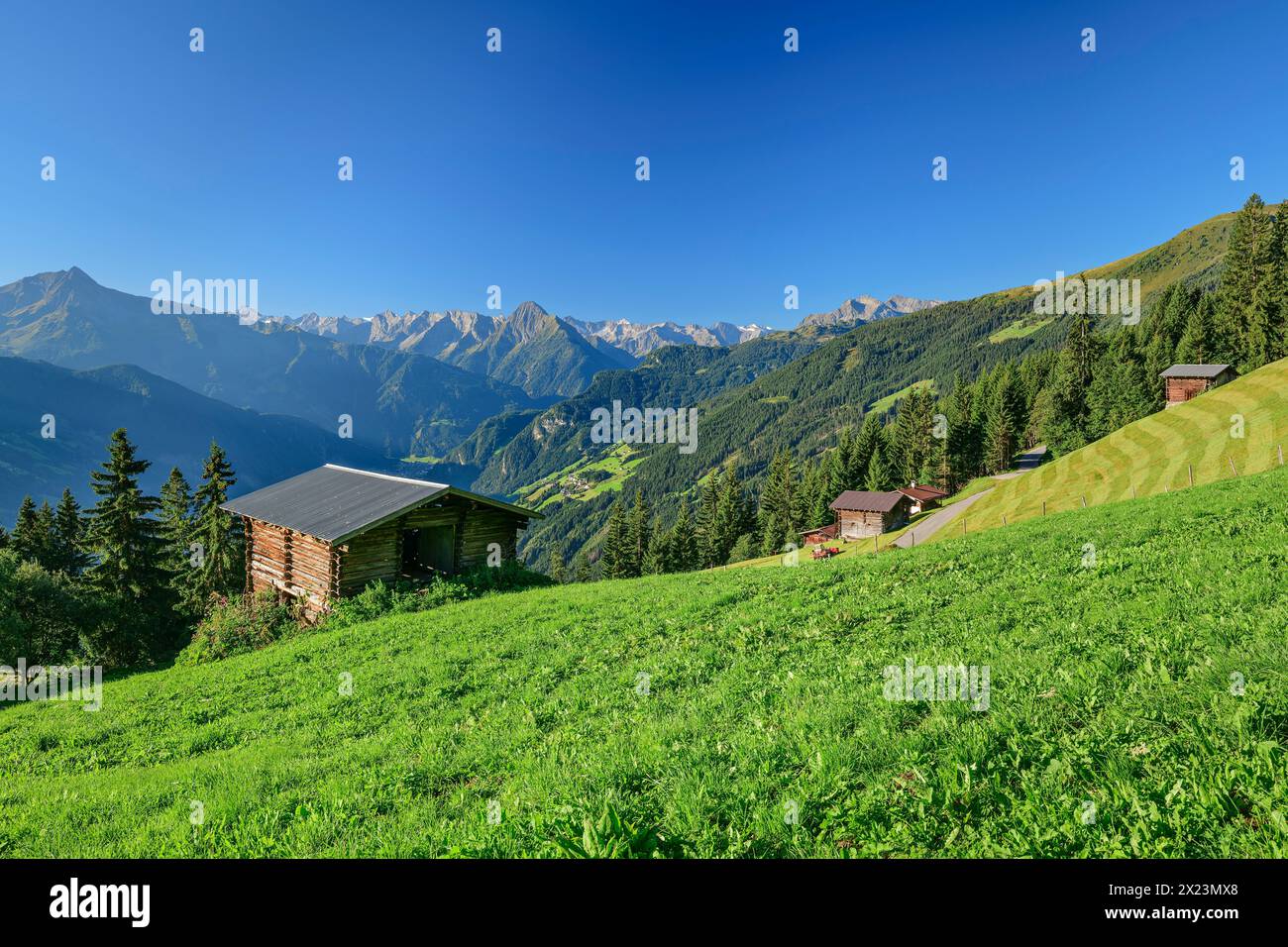 Alpine meadow and hay barn with Zillertal Alps, Zillertaler Höhenstraße, Tux Alps, Zillertal, Tyrol, Austria Stock Photo