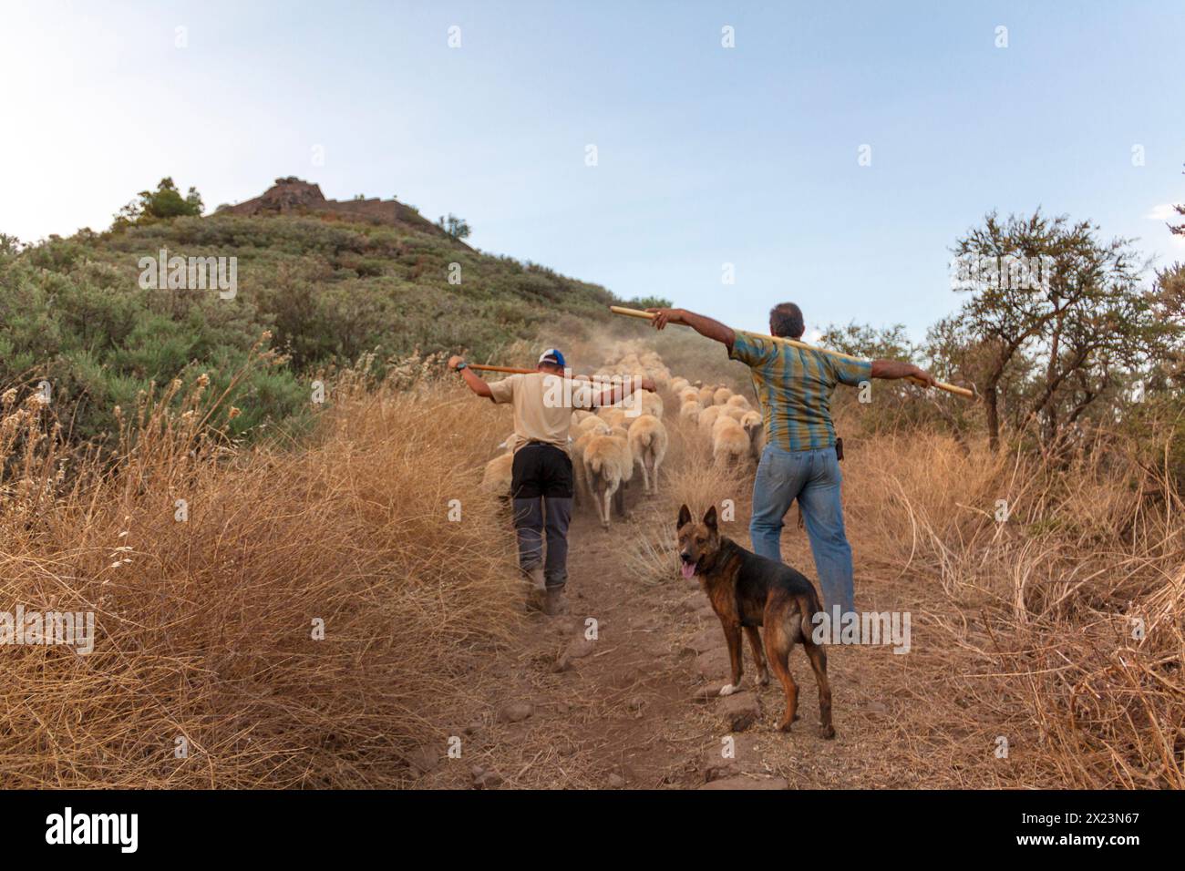 Shepherds in transhumance in Gran Canaria Stock Photo