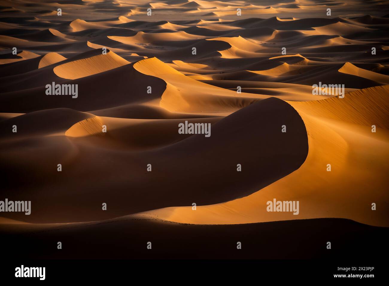 Sand Dunes at Erg Chigaga, Morocco Stock Photo
