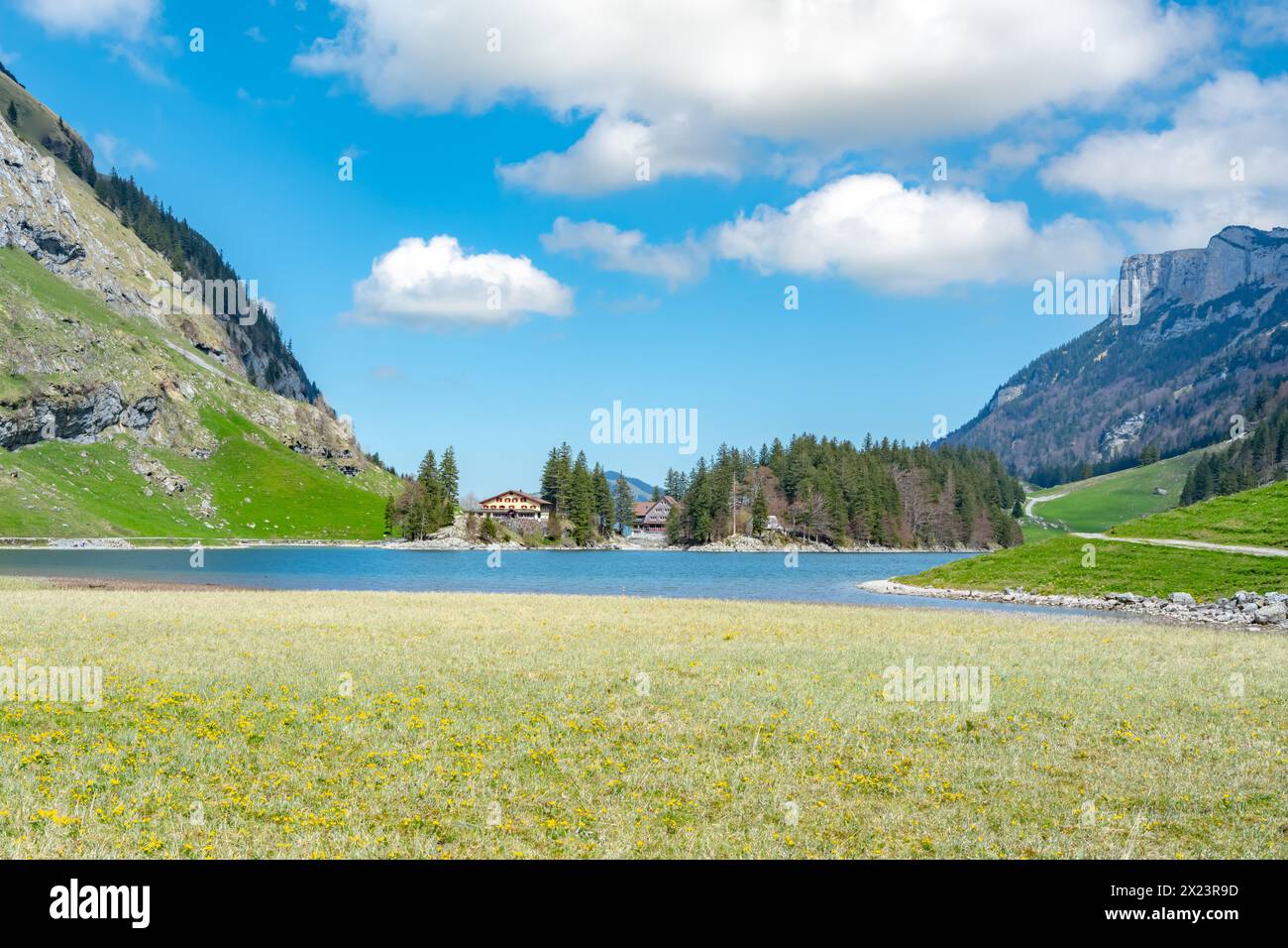 Description: Swiss meadow covered with yellow flowers and alpine lake with Gasthaus Forelle and Seealpsee Hotel in the background on a sunny day. Seea Stock Photo