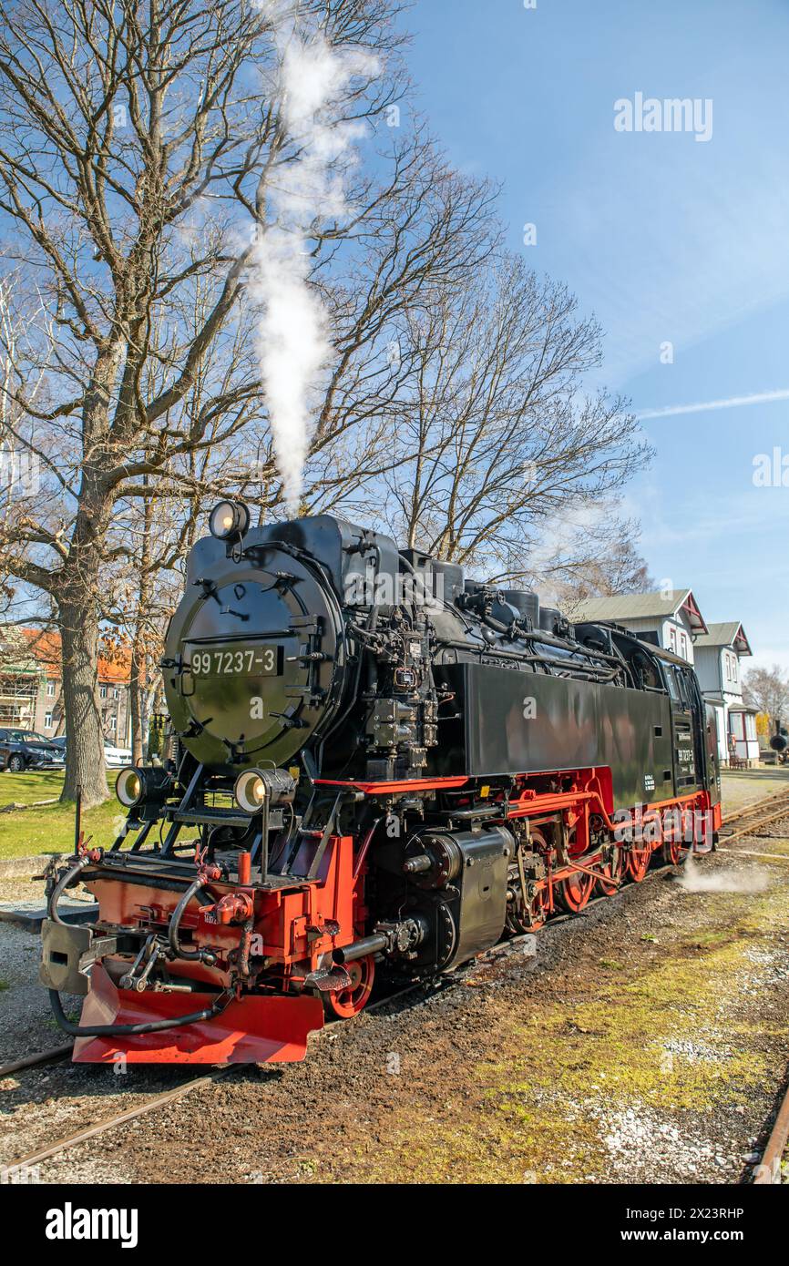 The Selketalbahn in Hasselfelde station, Harz, Saxony-Anhalt, Germany Stock Photo