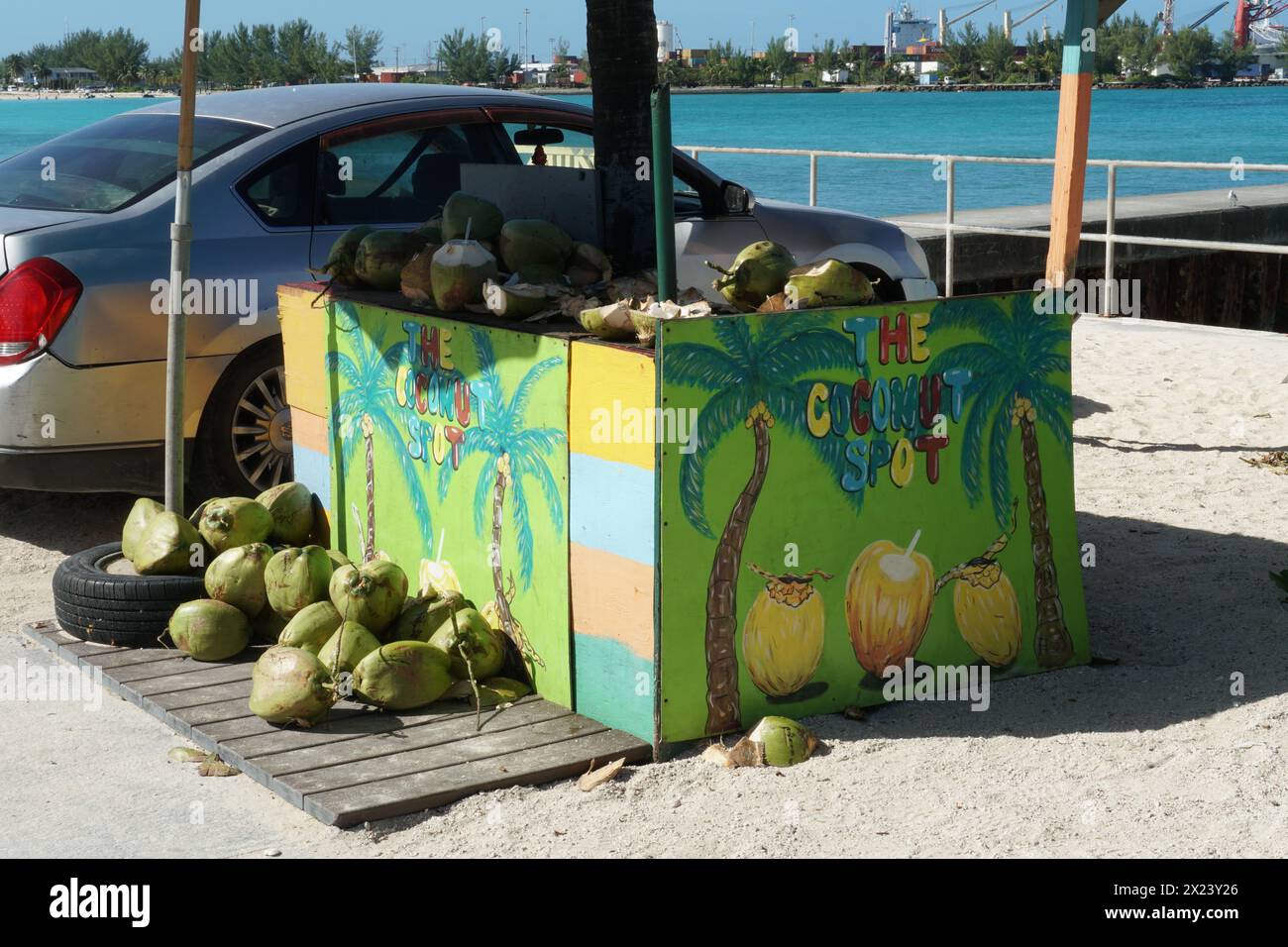 A colorful market stall with coconuts ready for sale to tourists on a nearby beach on the Caribbean island of Bahamas. Stock Photo