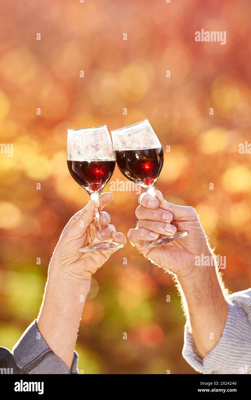 Mature couple, wine and toast in garden for retirement, celebration and vacation in nature for marriage. People, sunshine and cheers to wellness Stock Photo