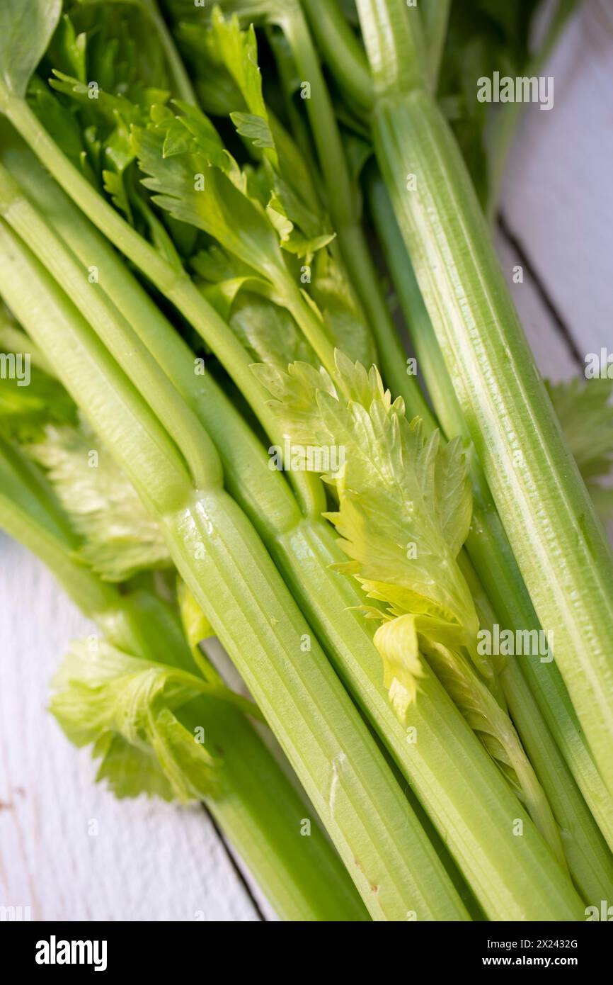 Celery stalks (close up) Stock Photo