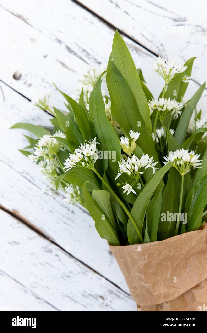 A bunch of wild garlic with flowers Stock Photo