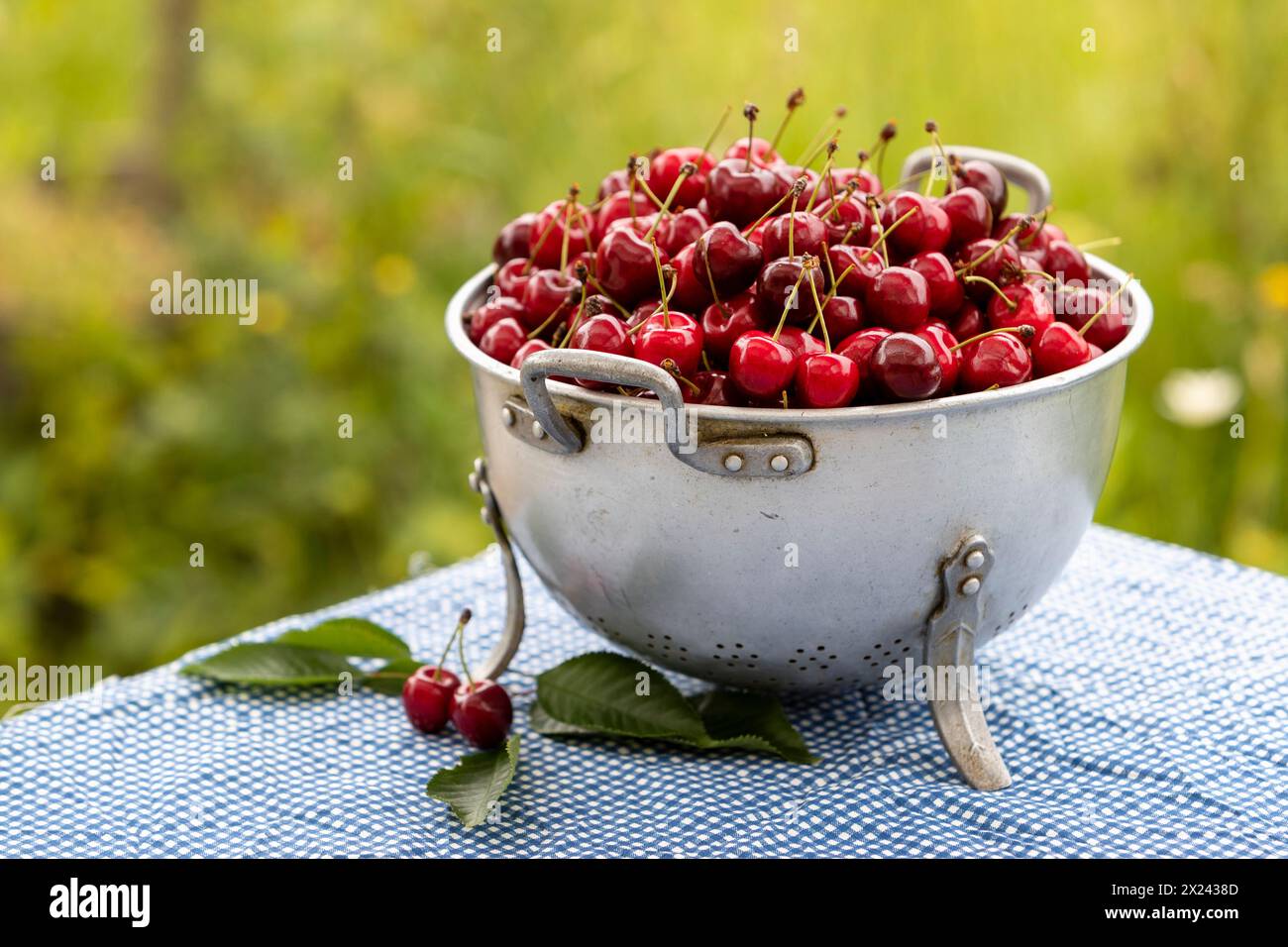 Red cherries in a metal sieve Stock Photo