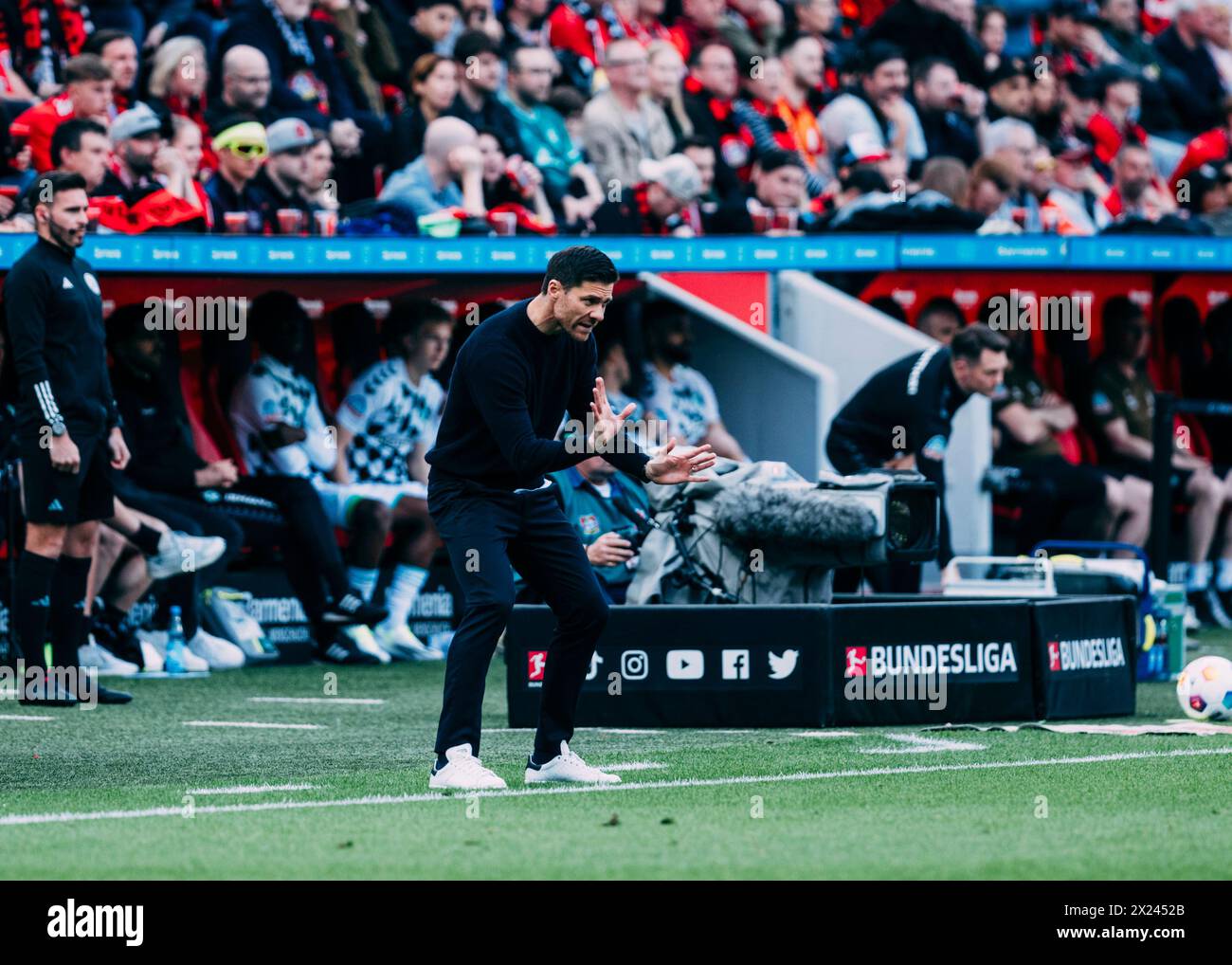 Leverkusen, Bayarena, 14.04.2024: Trainer Xabi Alonso (Leverkusen) energisch beim Spiel der 1.Bundesliga Bayer 04 Leverkusen vs. Werder Bremen. Stock Photo
