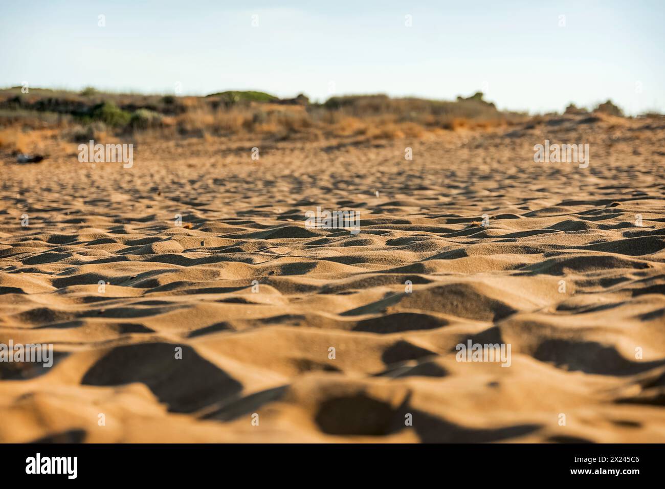 the abstract shapes of the sand on a sunny day Stock Photo