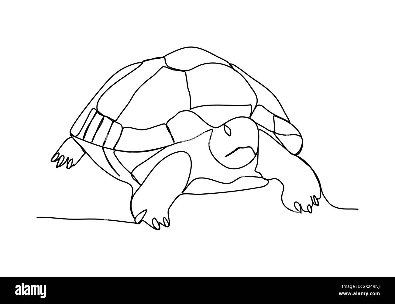 Turtle 1 Line Drawing Turtle, one line drawing vector illustration Stock Vector Image & Art ...