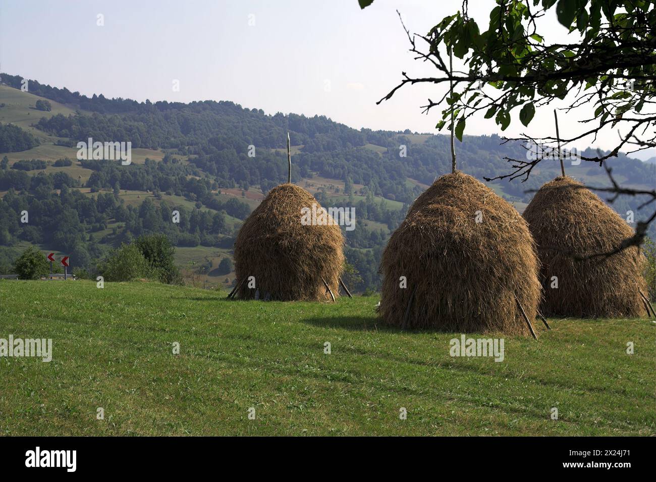 Buceș, Rumänien, Romania; mountain landscape with haystack; Berglandschaft mit Heuhaufen; paisaje de montaña con pajar Stock Photo