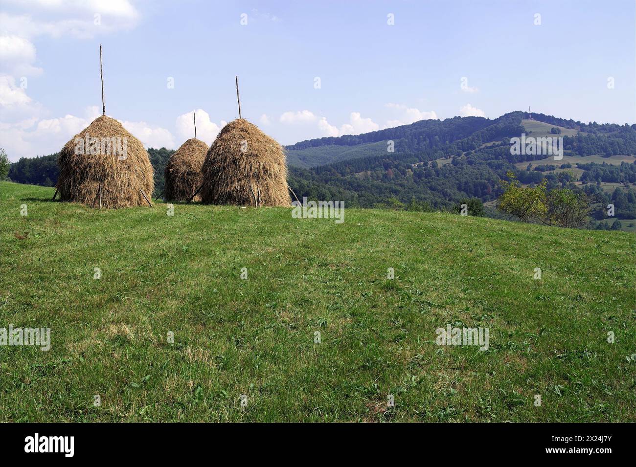 Buceș, Rumänien, Romania; mountain landscape with haystack; Berglandschaft mit Heuhaufen; paisaje de montaña con pajar Stock Photo