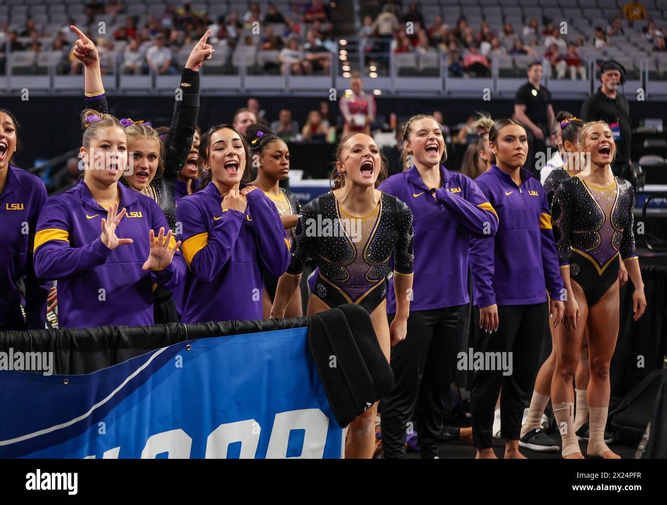 April 18, 2024: The LSU women's gymnastics team cheers on a teammate ...