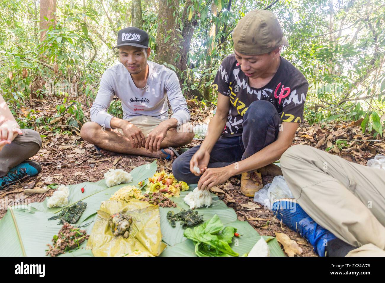 NAM HA, LAOS - NOVEMBER 15, 2019: Local guides with a meal in the forest of Nam Ha National Protected Area, Laos Stock Photo