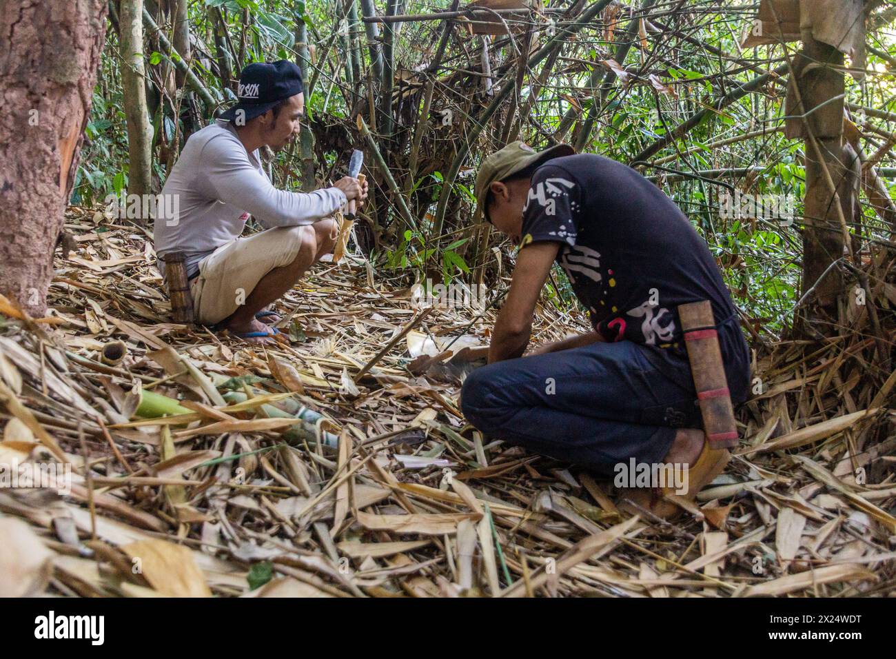 NAM HA, LAOS - NOVEMBER 15, 2019: Local guides collecting plants in the forest of Nam Ha National Protected Area, Laos Stock Photo