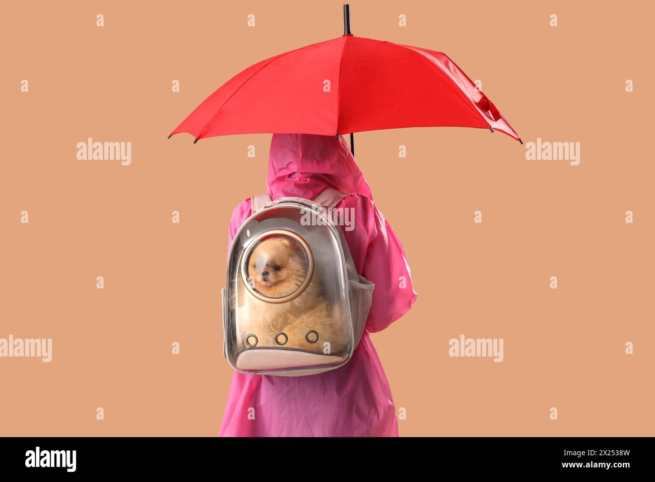 Pomeranian Umbrella - Pink Pomeranian Umbrella - Pink