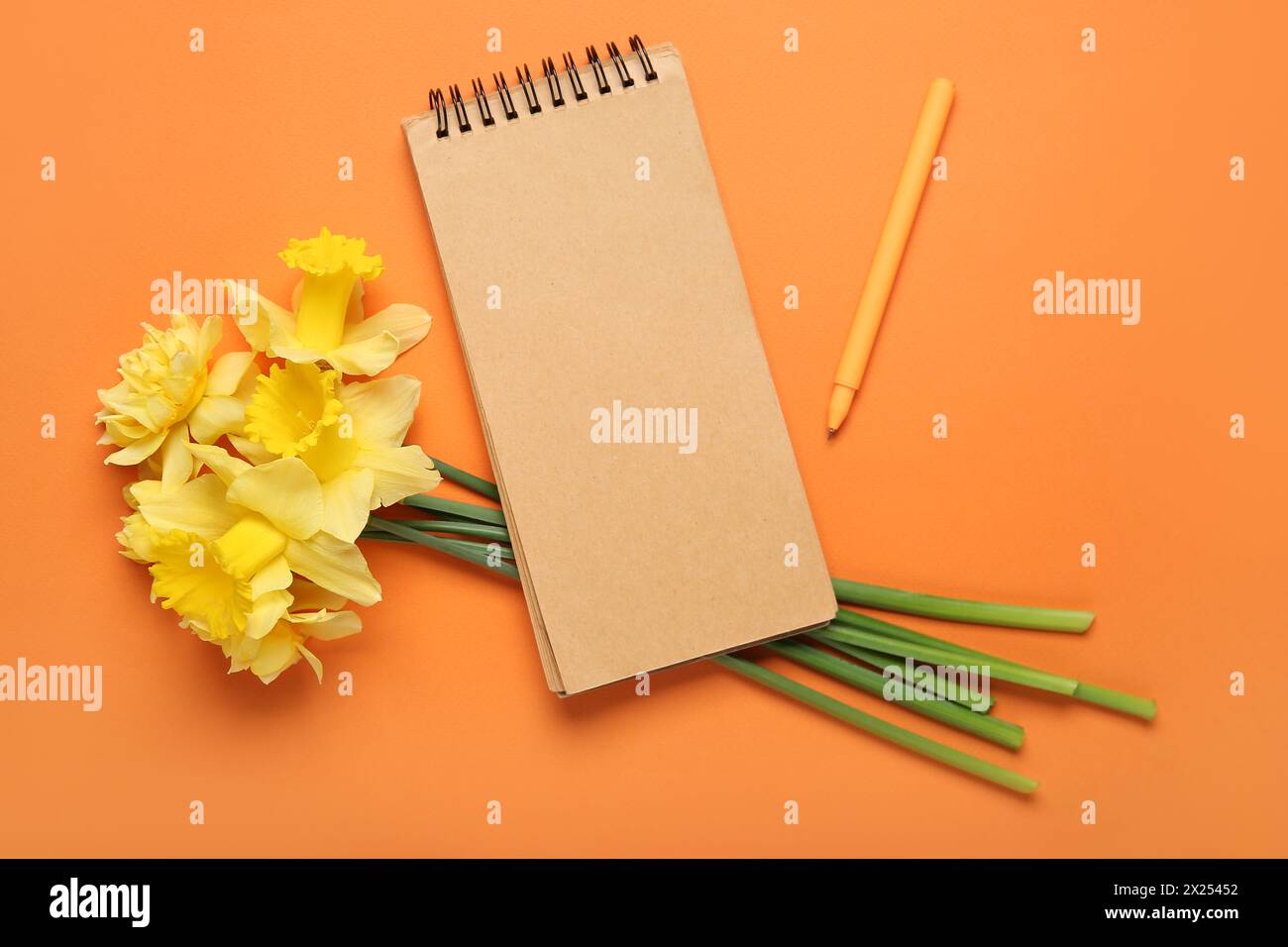 Daffodil flowers and notebook with pen on orange background. Top view Stock Photo