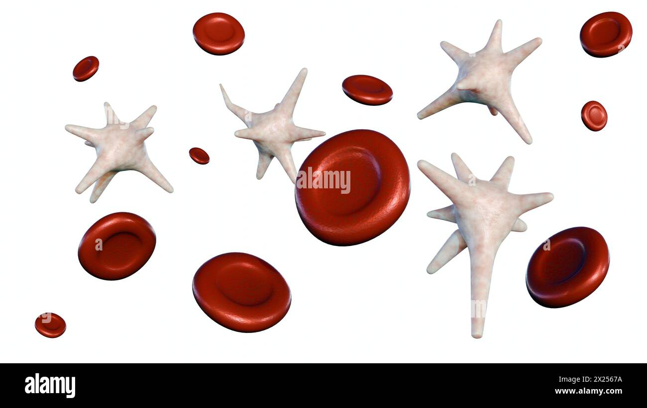 3d rendering of Thrombocytes, are pieces of very large cells in the bone marrow called megakaryocytes Stock Photo