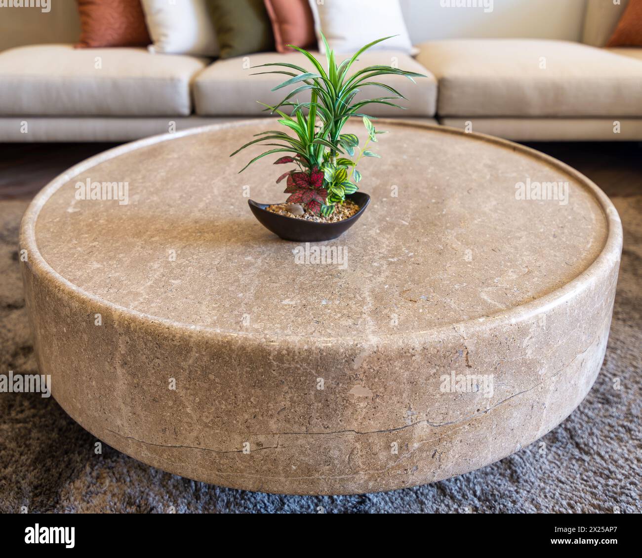 Close-up of a potted plant on a round marble coffee table with couch in ...