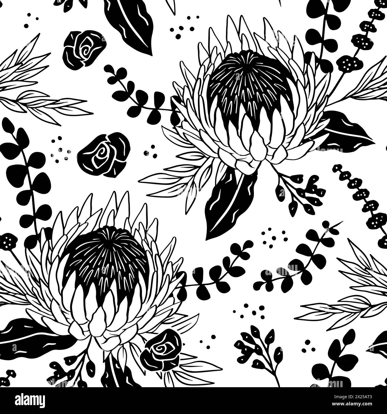 Black and white seamless pattern with line art protea flowers on white ...