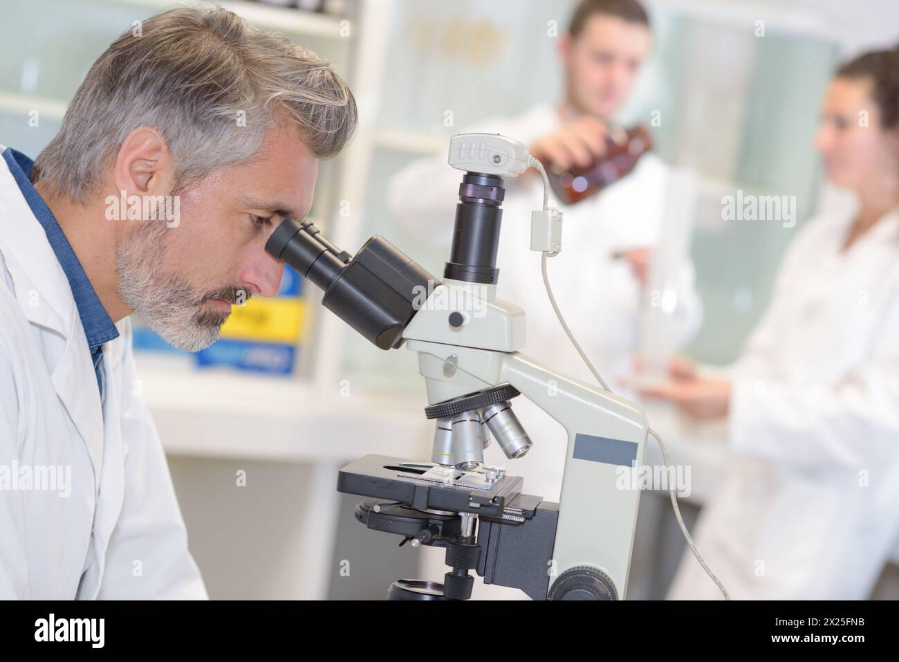 senior male laboratory technician using microscope Stock Photo