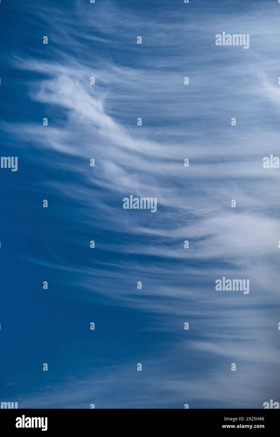 High feather like Cirrus clouds against a blue sky on a windy Spring day in the UK. Stock Photo