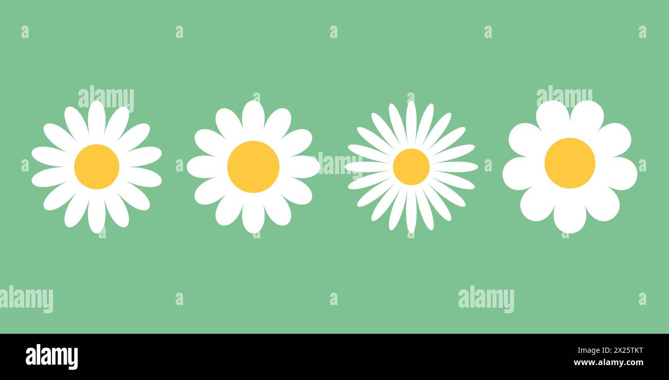 Daisy chamomile icons set in flat style. Flower vector illustration on ...