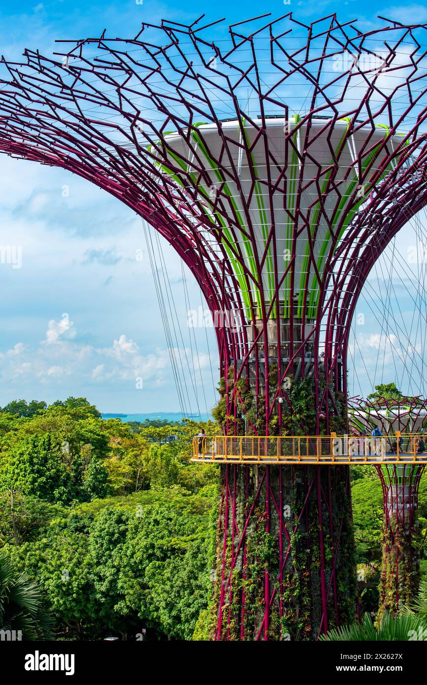 Ocbc Sky Tree The OCBC Skyway, 22 metres (meters) above the ground is a 128m long ...