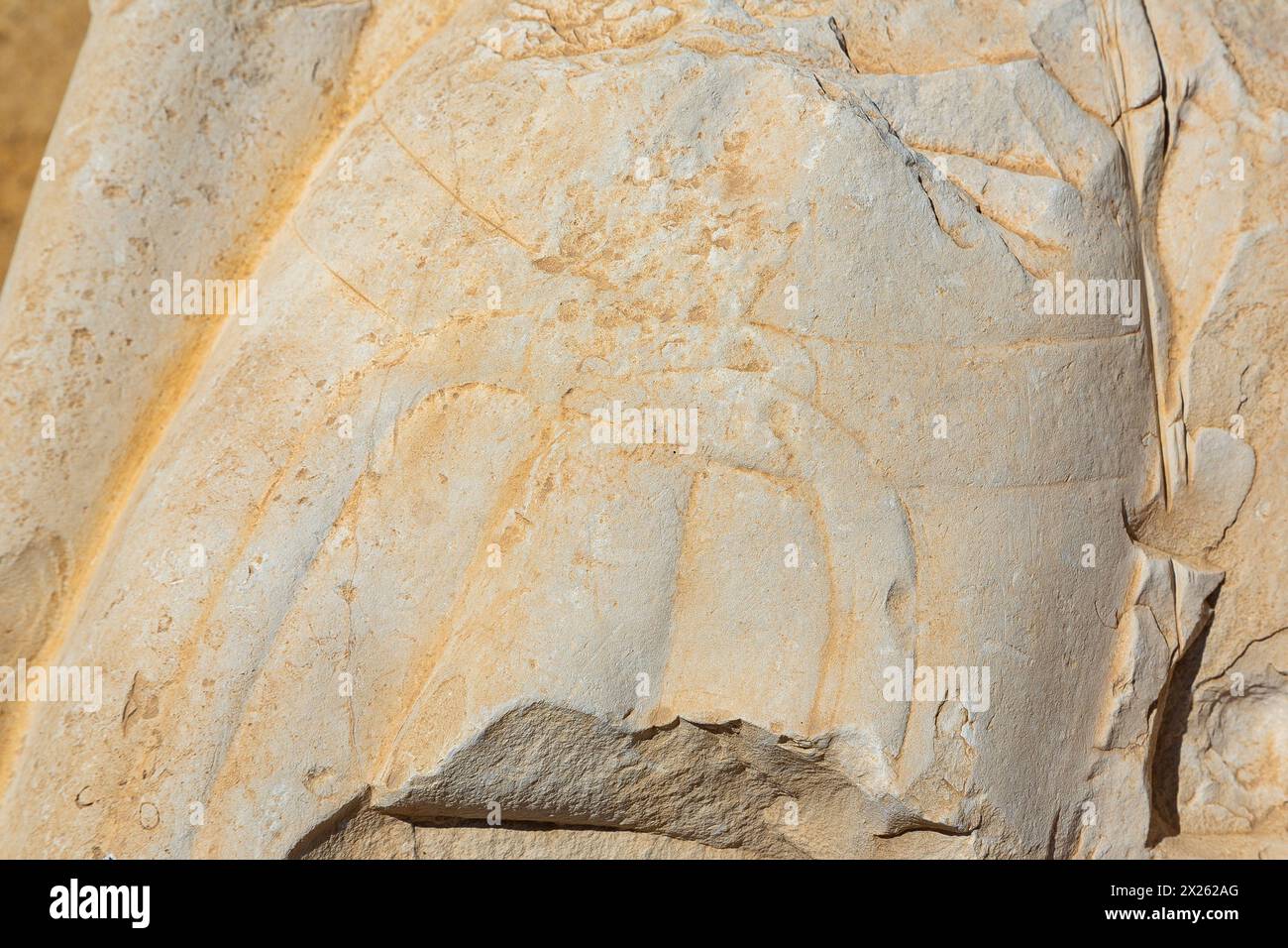 Egypt, Fayum, Hawara, small open air museum near the pyramid of Amenemhat III : Remains of a statue group, loincloth. Stock Photo