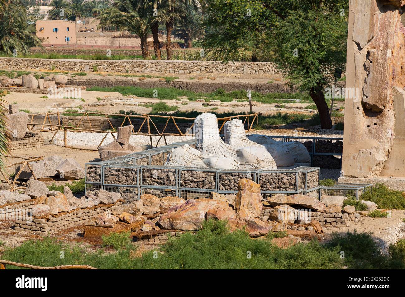 Egypt, Luxor West bank, Kom el Hettan, the million years temple of Amenhotep 3 : Statue and sphinxes of the peristyle court (2012). Stock Photo