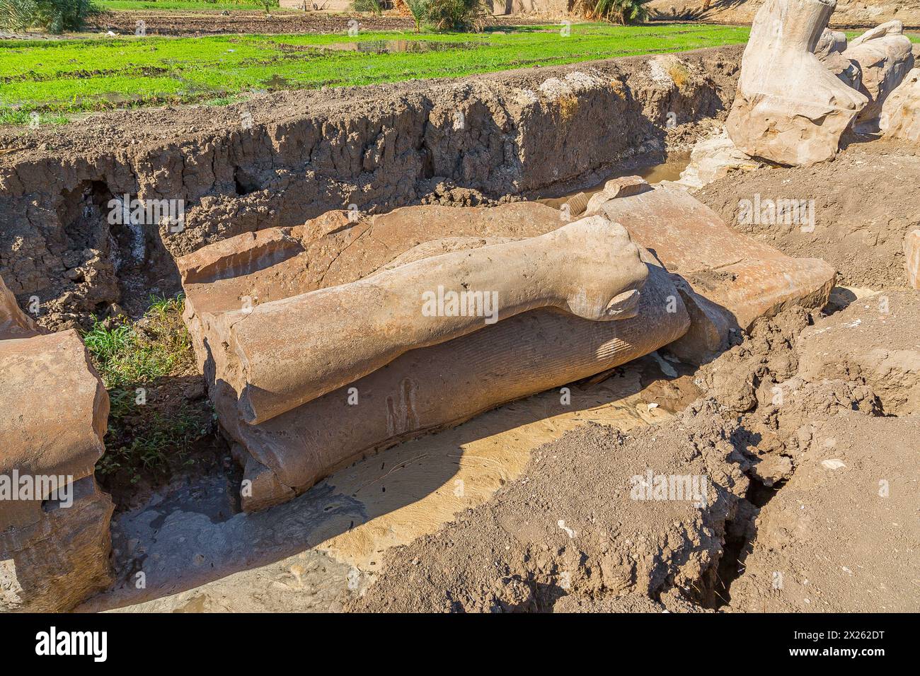 Egypt, Luxor West bank, Kom el Hettan, the million years temple of Amenhotep 3 : Rediscovery of 2 colossus at the north gate (photo 2012). Stock Photo