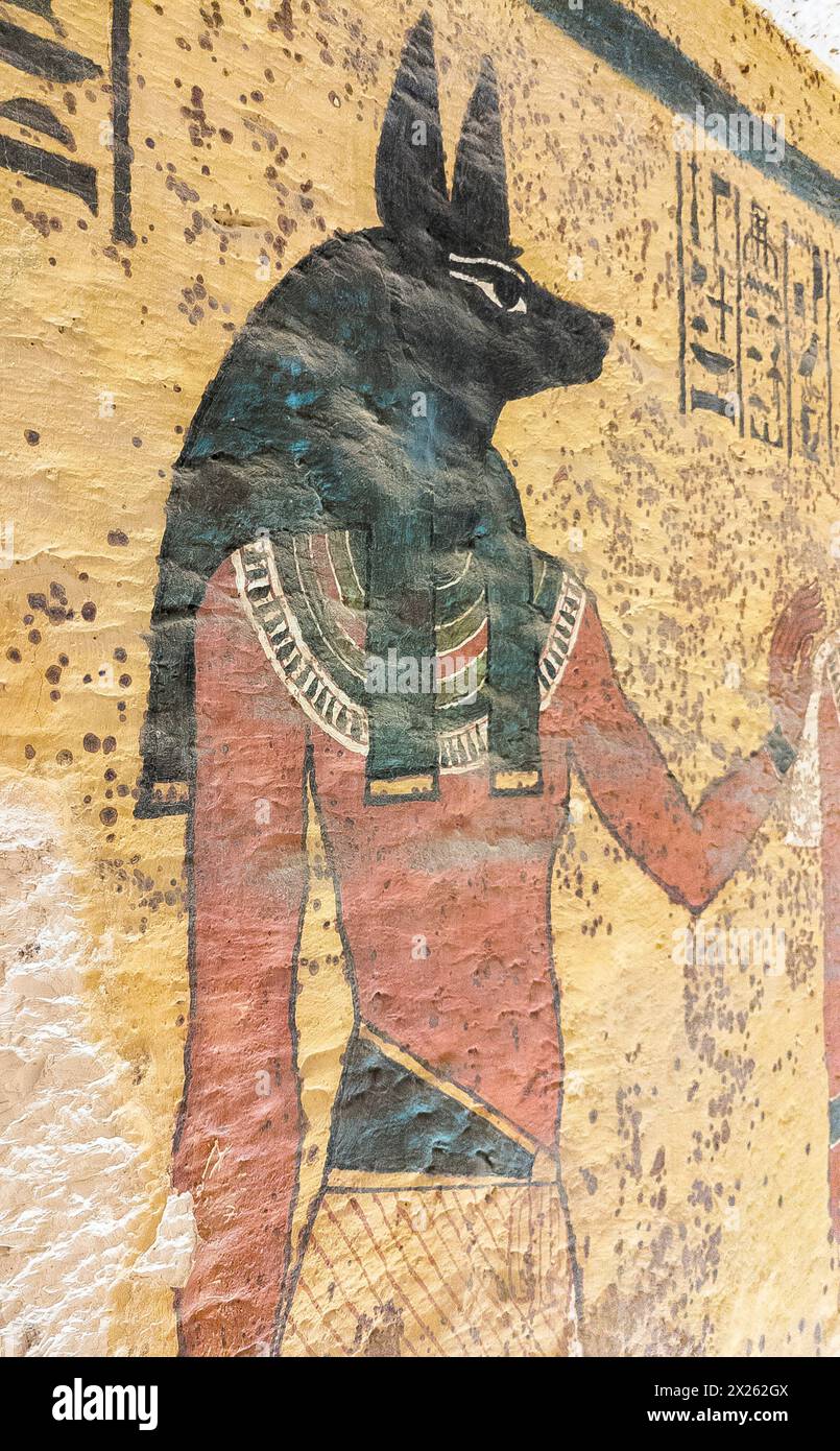 Egypt, Luxor, tomb of Tutankhamun, South wall of the funeral room : Anubis doing a protection gesture. Stock Photo