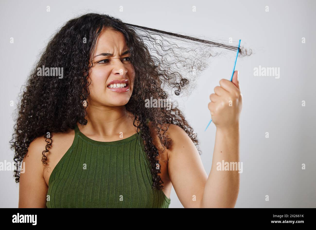 Messy hair, tangle and frustrated woman with comb in studio for knot, stress and problem on grey background. Curly, haircare and model annoyed with Stock Photo