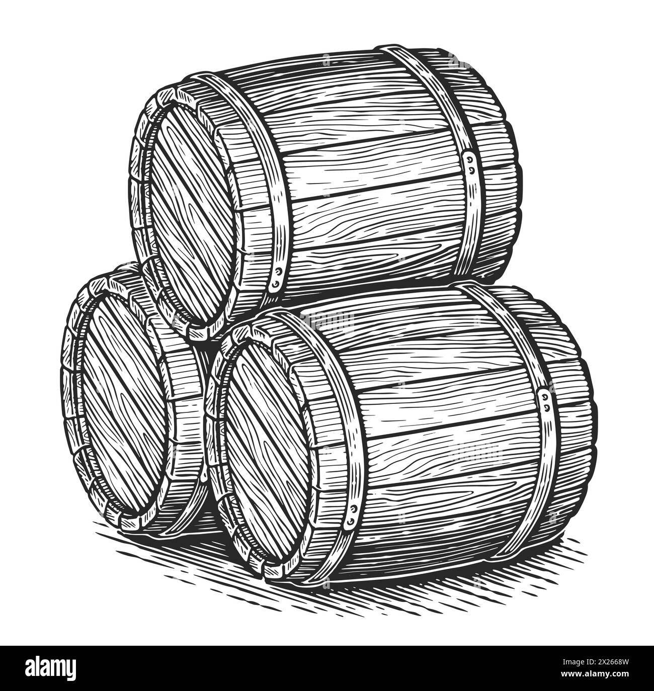 Three wooden casks for wine and other alcohol. Oak barrels sketch. Vintage vector illustration Stock Vector