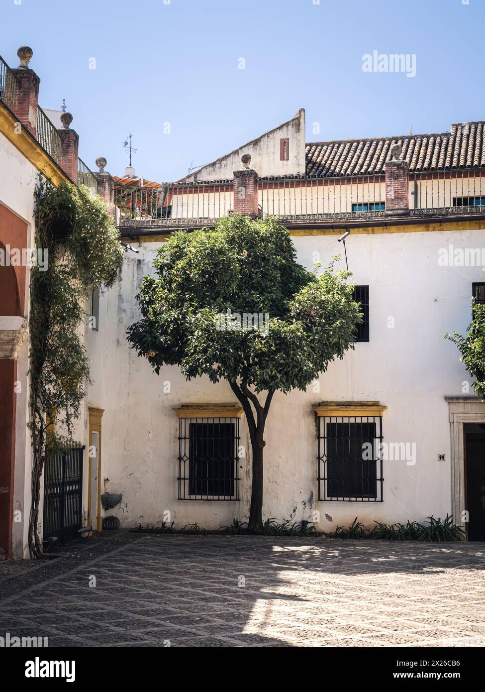 Small Garden (Jardin Chico) at Casa de Pilatos (Pilates House) Palace ...
