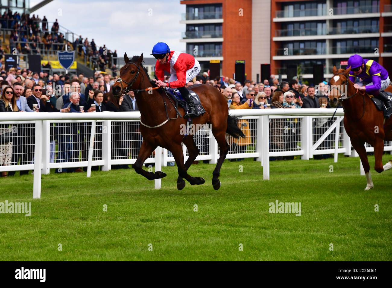 Serengeti Rob Hornby Newbury race finish Bridging the Gap: Why We Obsess Over Underdogs