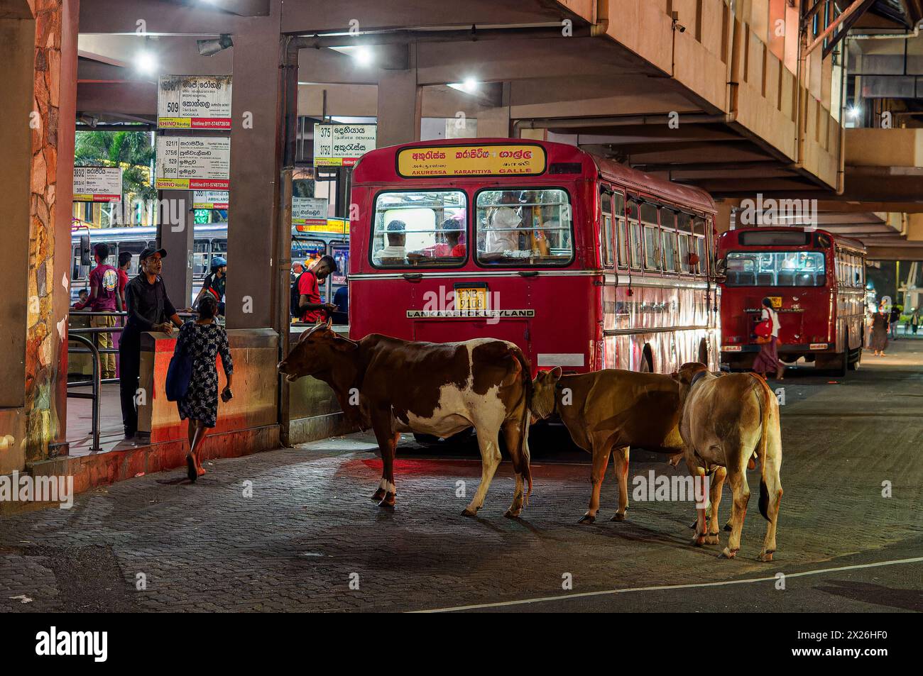 Bus in sri lanka hi-res stock photography and images - Alamy