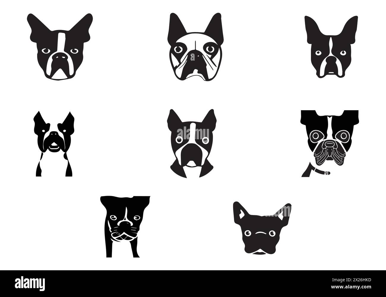 Minimal style Boston Terrier icon illustration design Stock Vector