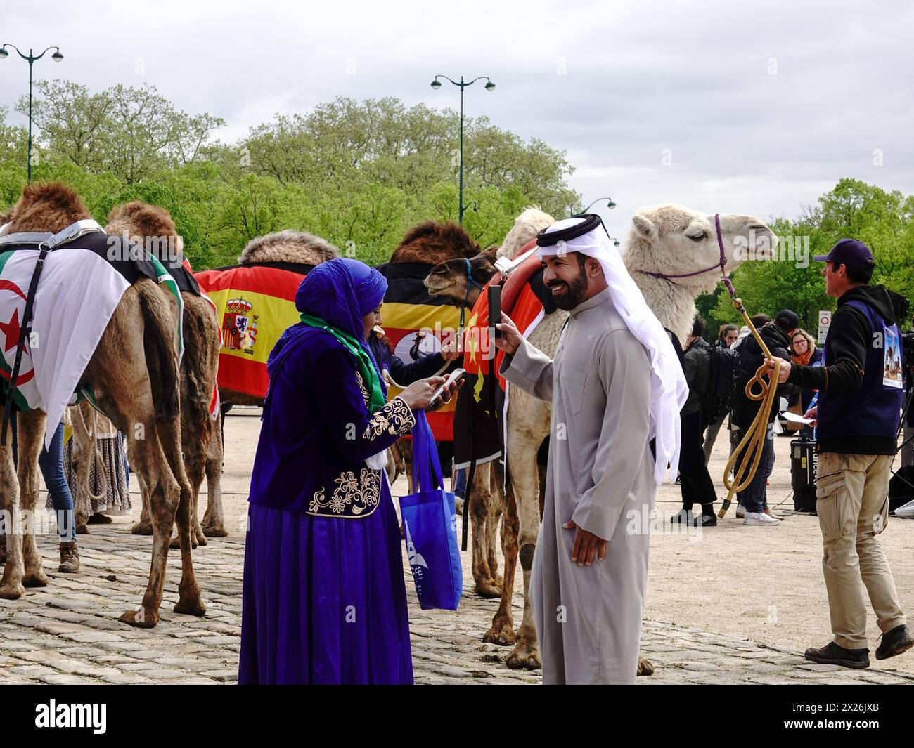 Paris, France, Europe, 20 April, 2024: Camel Parade Paris. A crowd of ...