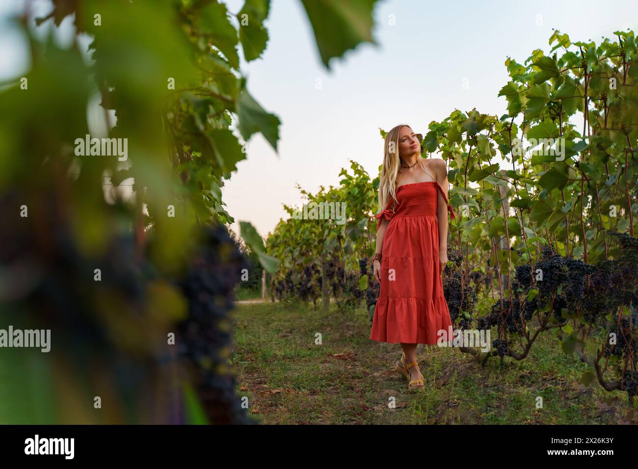 Red dress run hi-res stock photography and images - Alamy Red dress run hi-res stock photography and images - Alamy