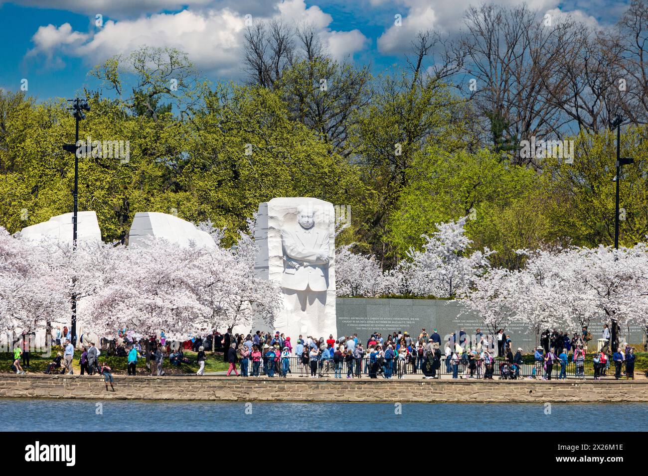 Washington, D.C., Cherry Blossoms and Martin Luther King, Jr. Memorial. Stock Photo
