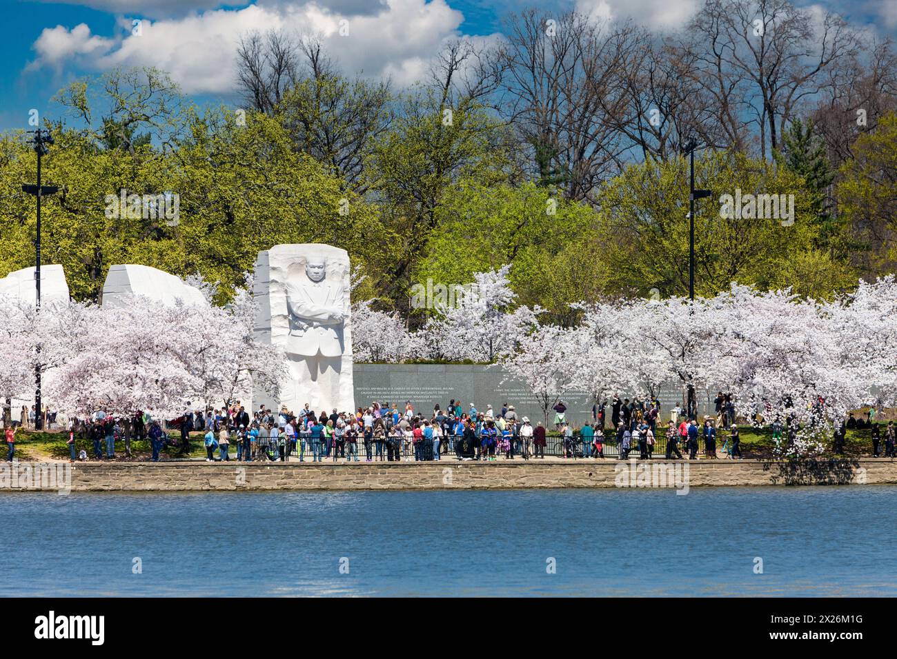 Washington, D.C., Cherry Blossoms and Martin Luther King, Jr. Memorial. Stock Photo