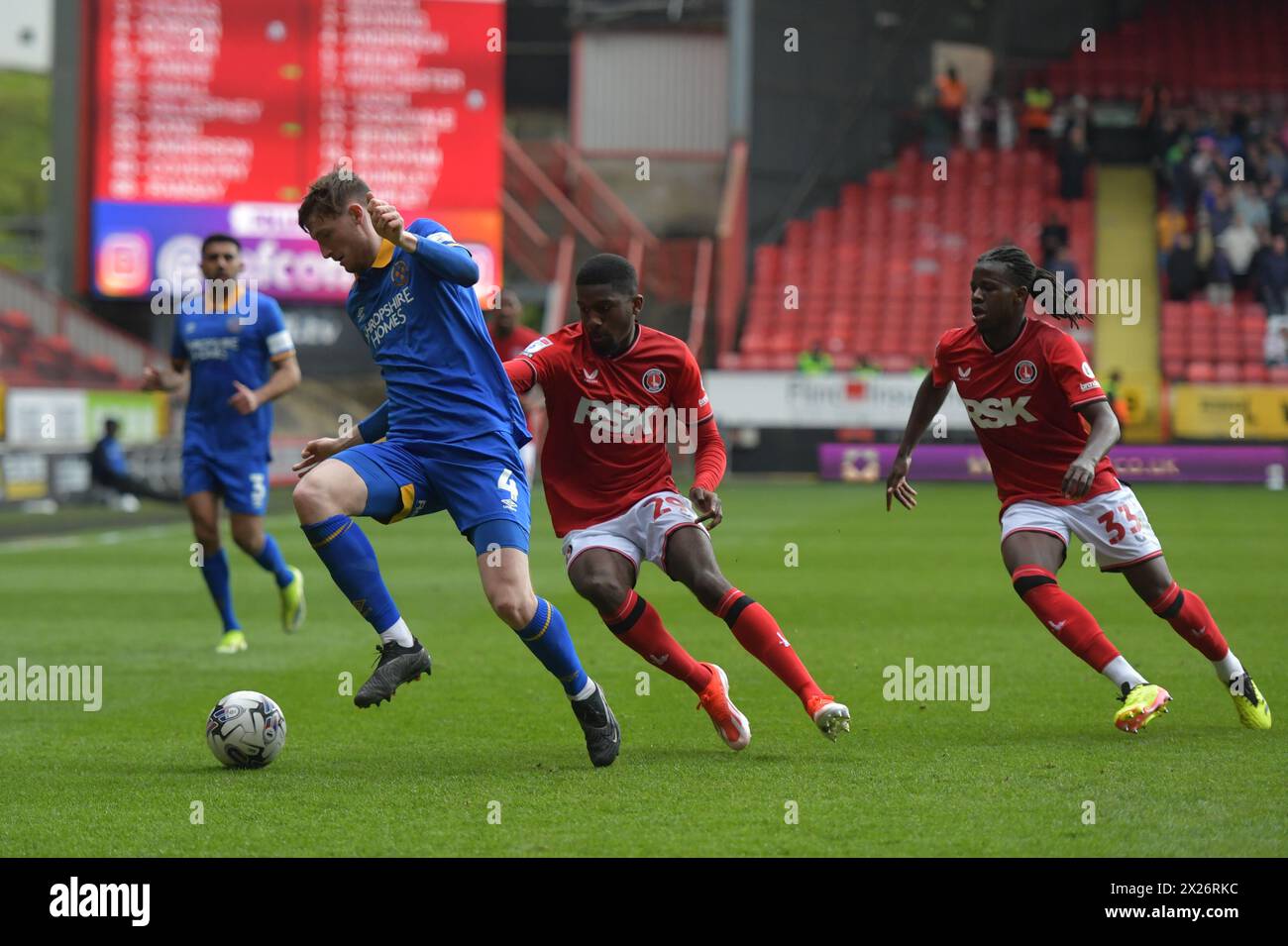 London, England. 20th Apr 2024. Joe Anderson of Shrewsbury Town is chased by Daniel Kanu and Karoy Anderson of Charlton Athletic the Sky Bet EFL League One fixture between Charlton Athletic and Shrewsbury Town. Kyle Andrews/Alamy Live News Stock Photo