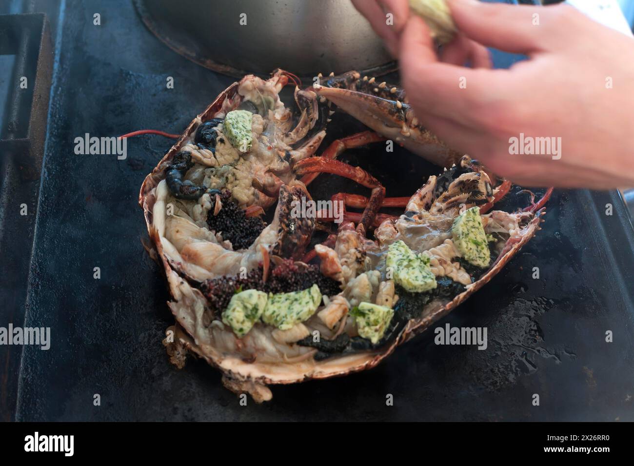 Cooked lobster (homarus) with caviar, vegetables and garlic butter on a plancha, Atlantic coast, Vandee, France Stock Photo