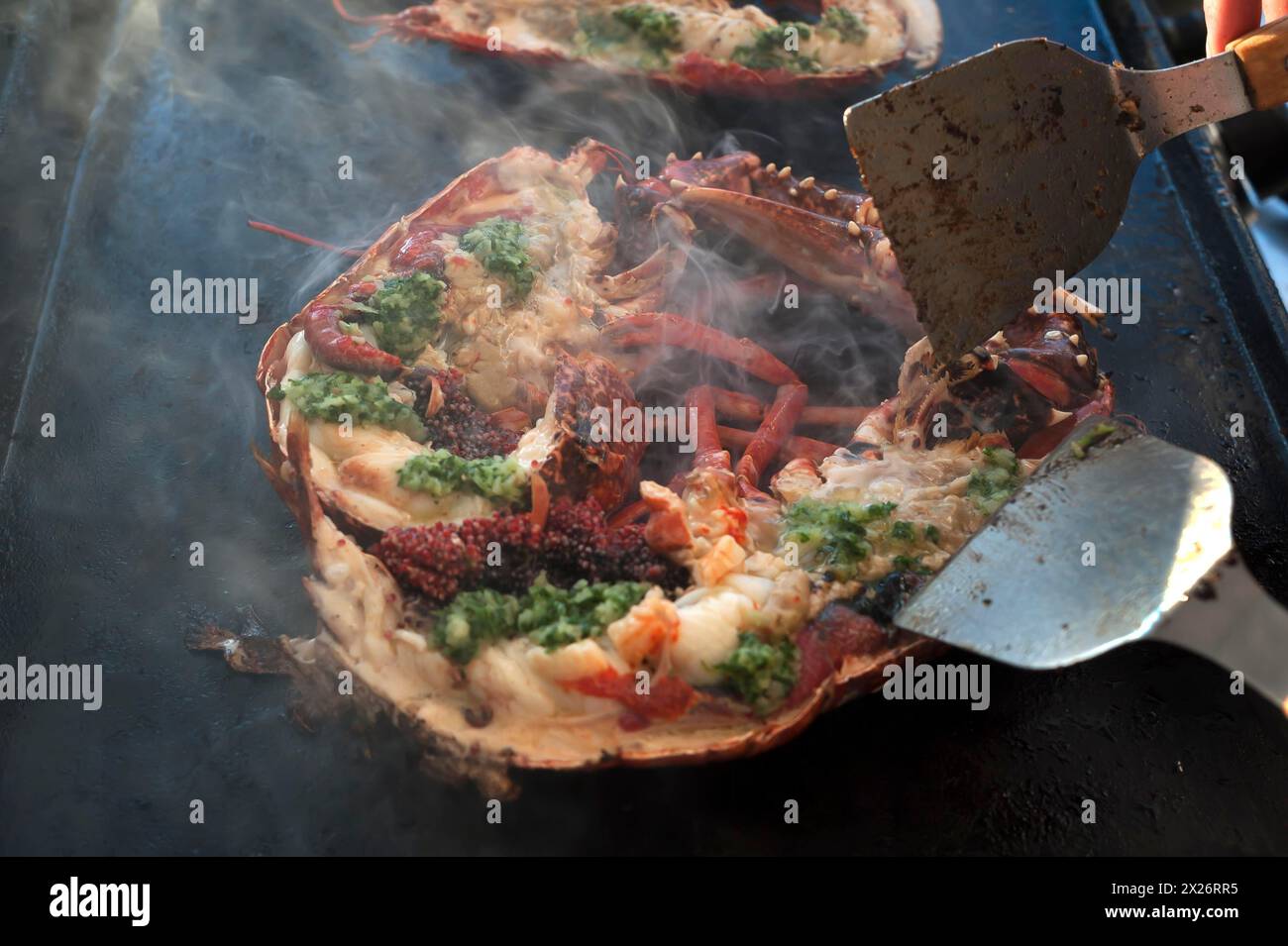 Cooked lobster (homarus) with caviar, vegetables and garlic butter on a plancha, Atlantic coast, Vandee, France Stock Photo