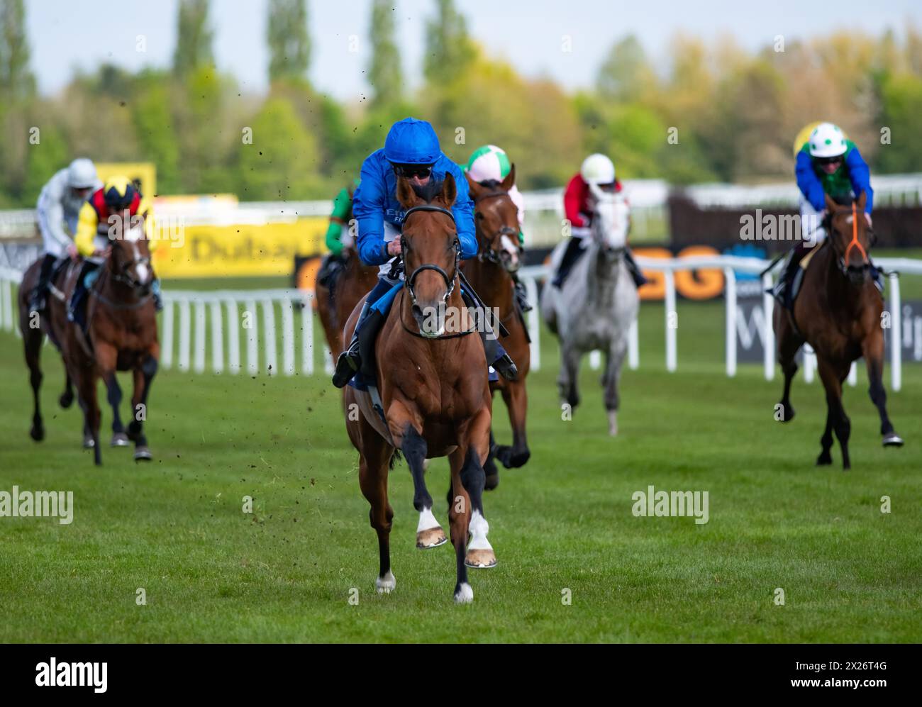Hidden Law and William Buick win the Darley Confined Maiden Stakes for trainer Charlie Appleby and owners Godolphin. Credit JTW Equine Images / Alamy Stock Photo