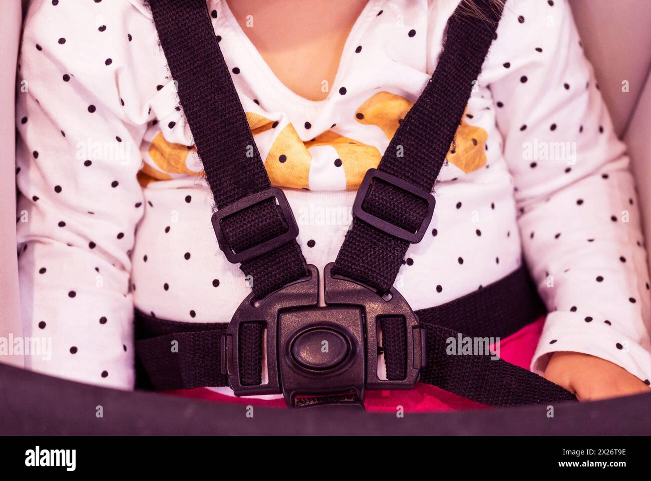 Seat belt in a baby carriage.child seat belts in the car. Closeup
