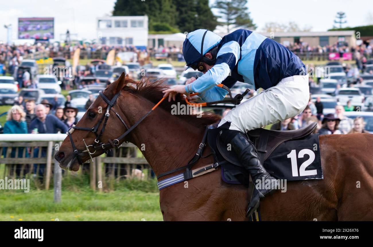 Chaddesley Corbett Racecourse, Worcestershire, Saturday 20th April 2024; Jeux D'Eau and jockey Huw Edwards win the 2024 running of the Lady Dudley Cup Mens Open Race for trainer Laura Richardson and owners Laura Richardson & David Heys . Credit JTW Equine Images / Alamy Live News. Stock Photo