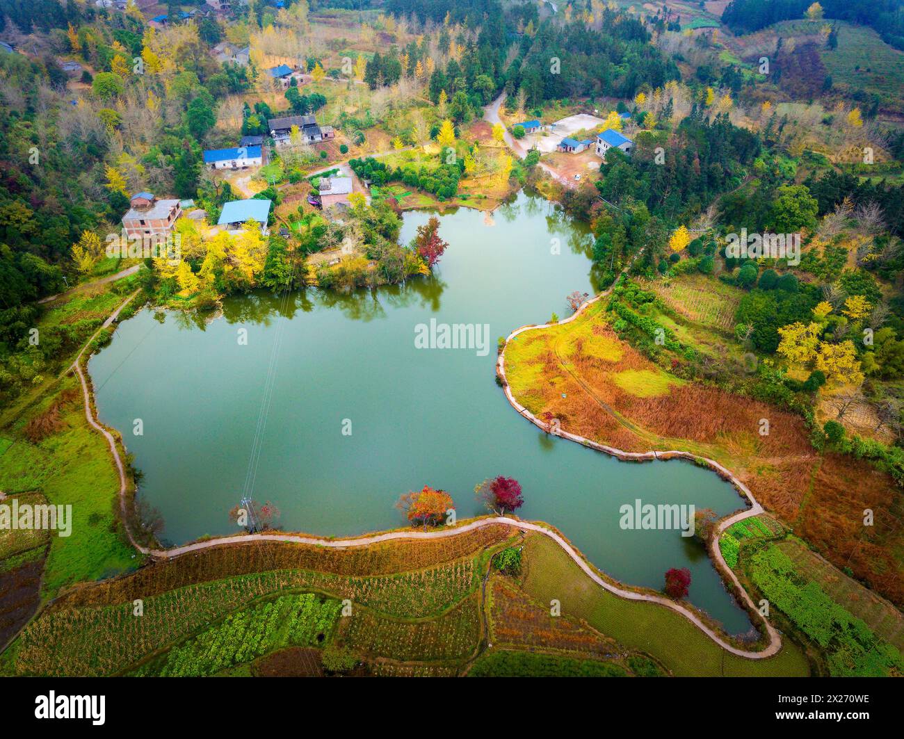 East asian plants hi-res stock photography and images - Alamy